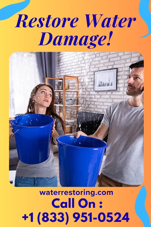 water restoration Elite Recovery LLC Lanagan