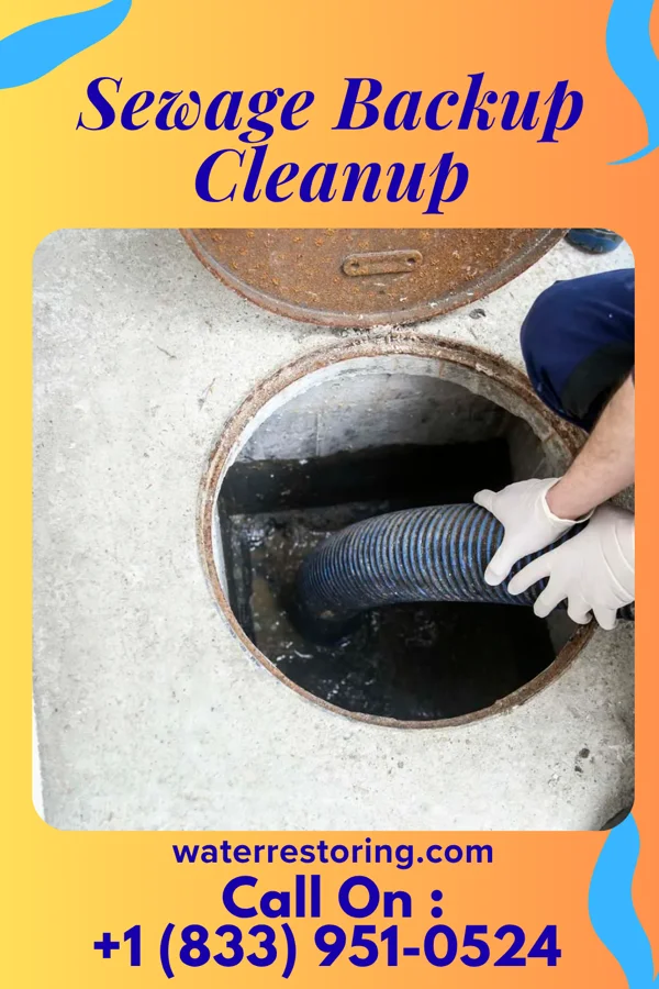 Sewage Backup Cleanup in Lanagan, MO