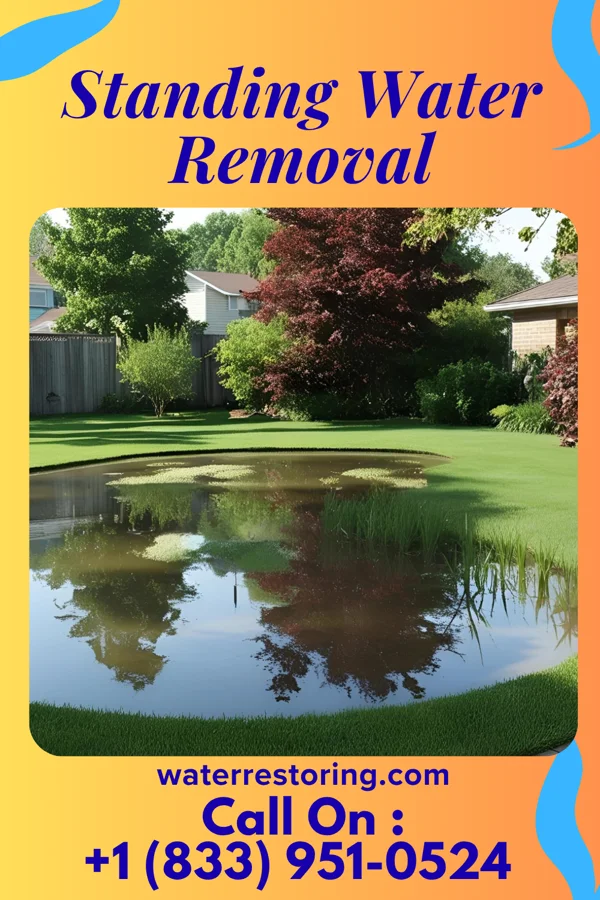 Standing Water Removal in Lanagan, MO